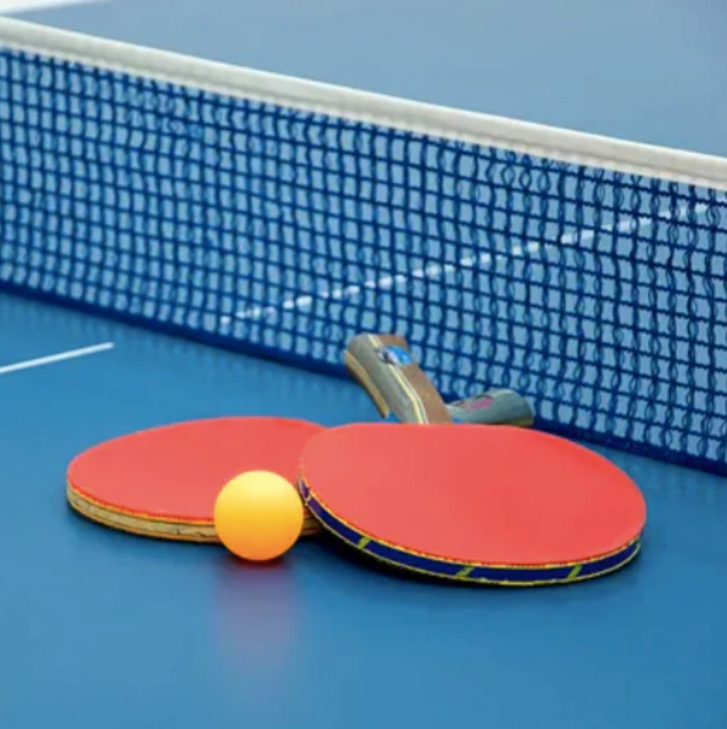 Tennis de Table - 2 Raquettes + 1 Filet